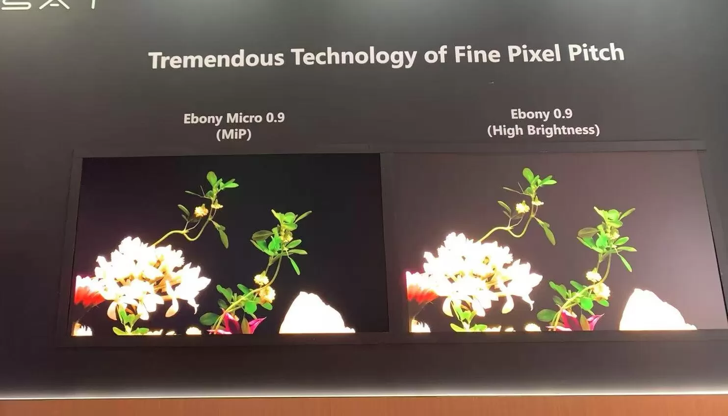 微信图片 20250811144721 171