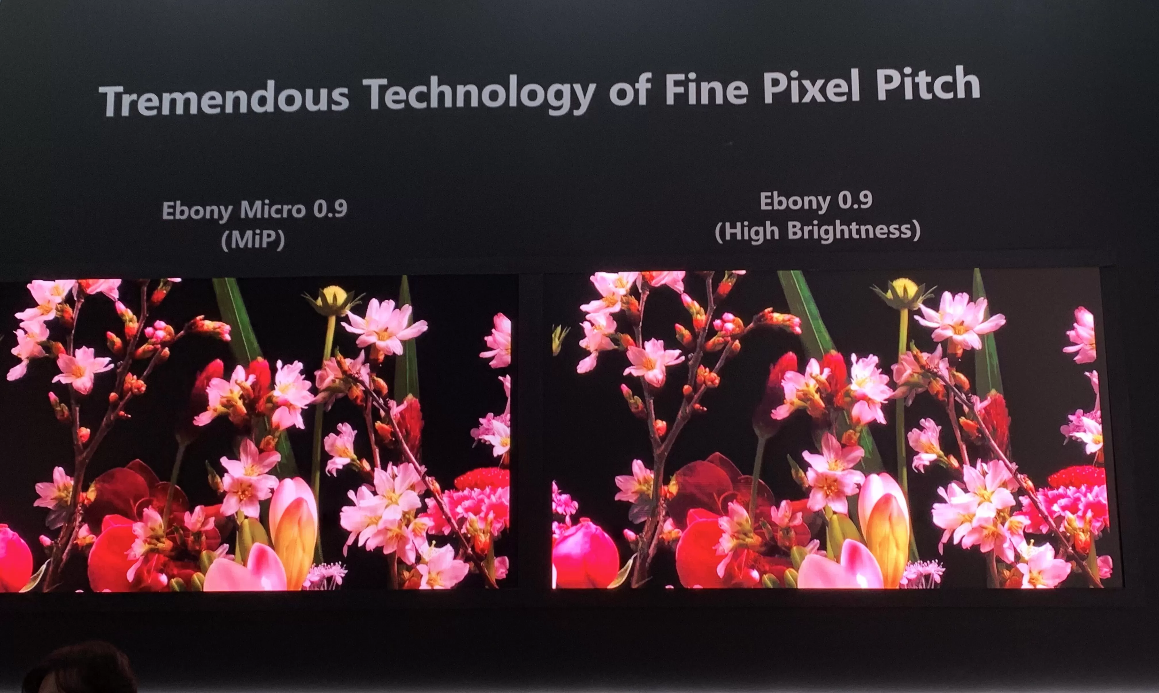 微信图片 20250217143232