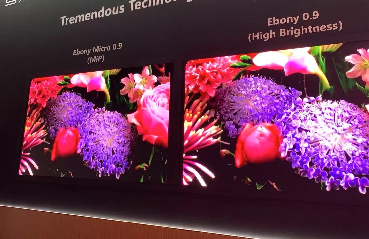 微信图片 20250811144720 170