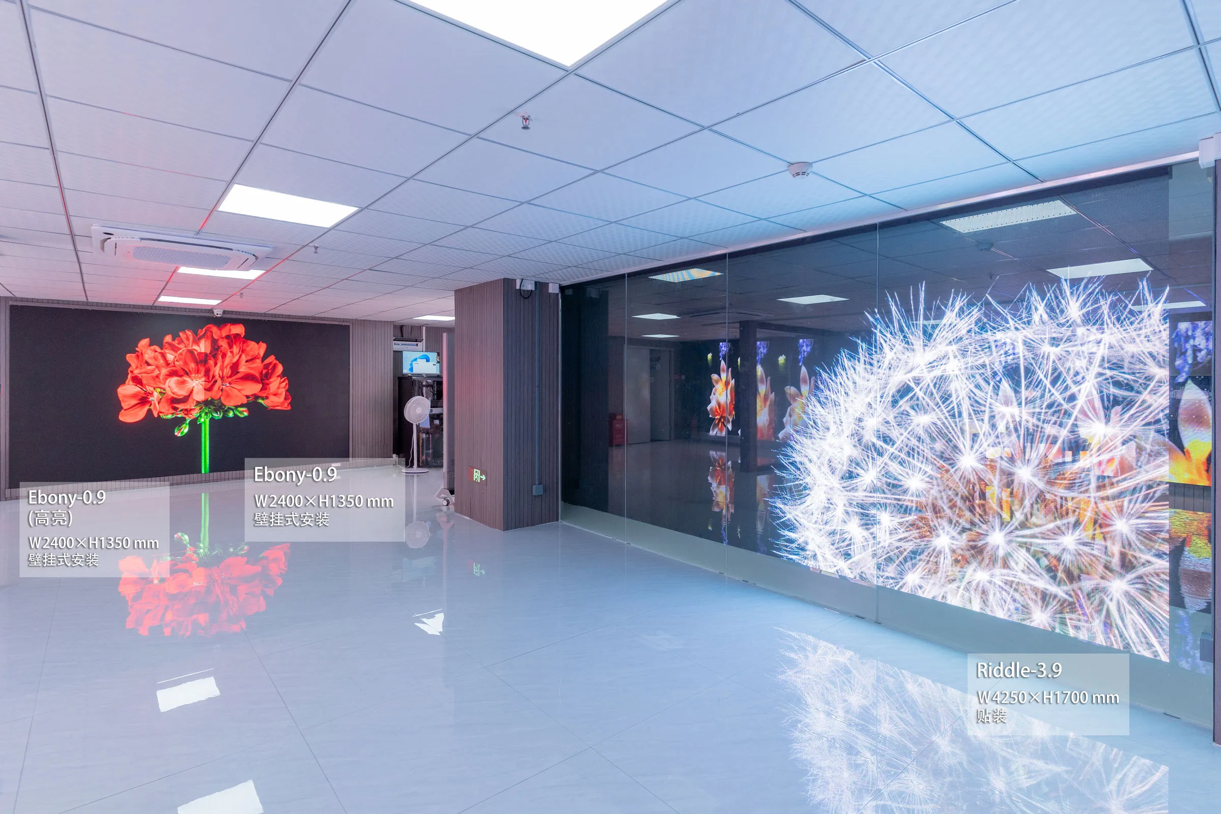 Showroom China (中文) (1)