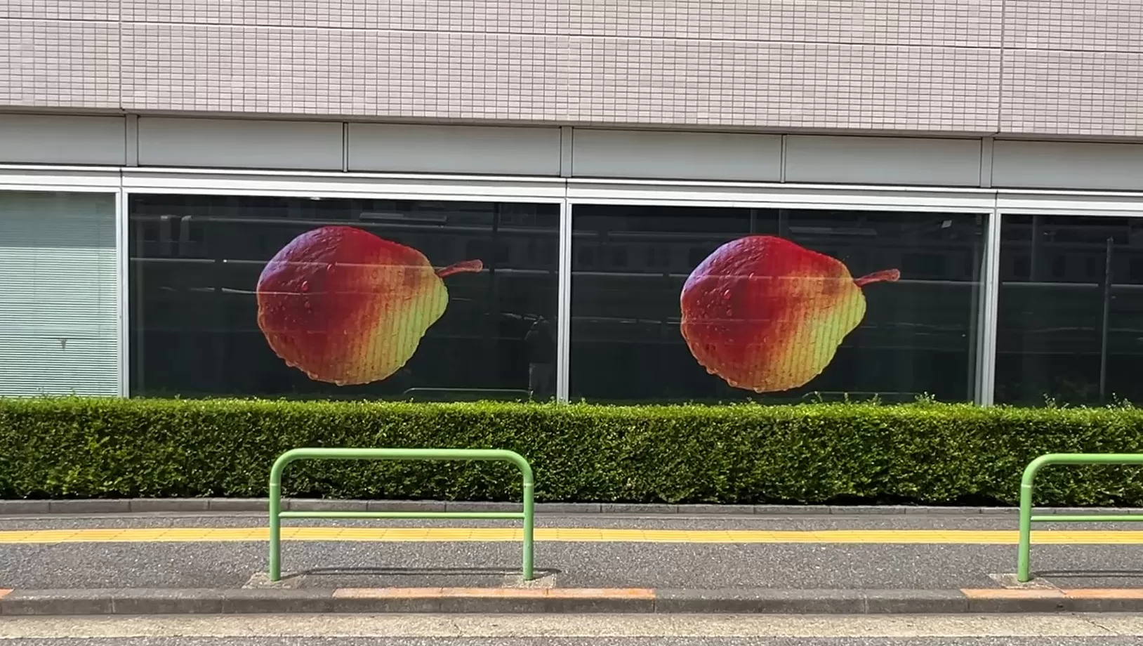 Riddle 对比拍摄 (1)