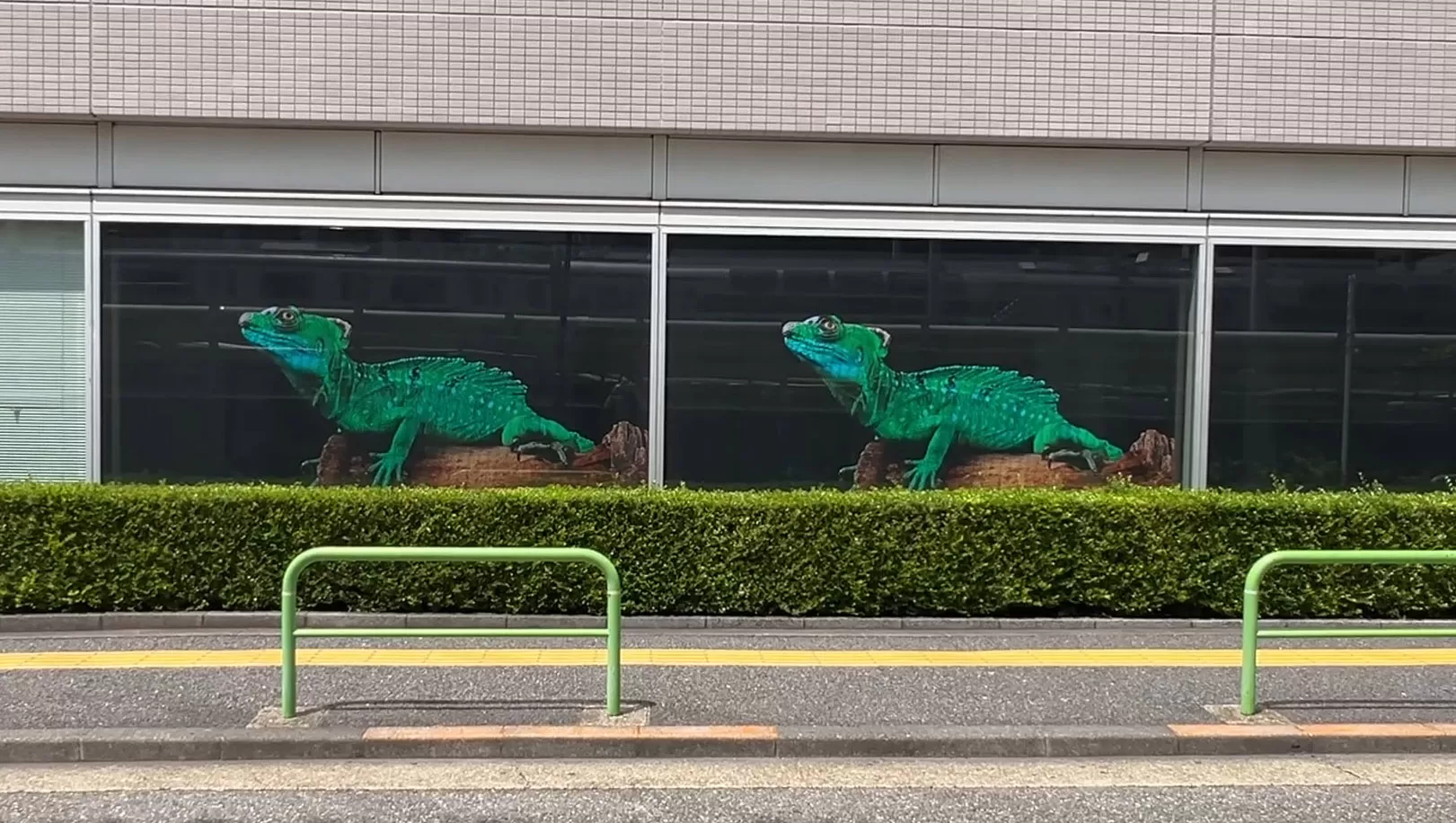 Riddle 对比拍摄 (6)